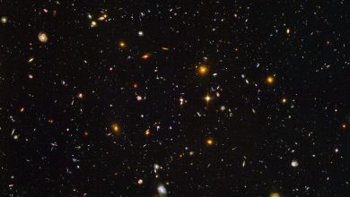 Lo Hubble Ultra Deep Field mostra migliaia di galassie altrimenti invisibili