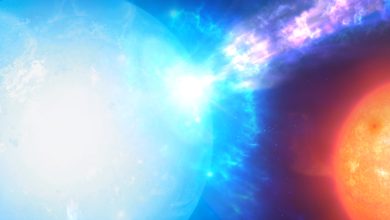 Una nana bianca produce una micronova dopo aver rubato gas alla sua compagna gigante rossa