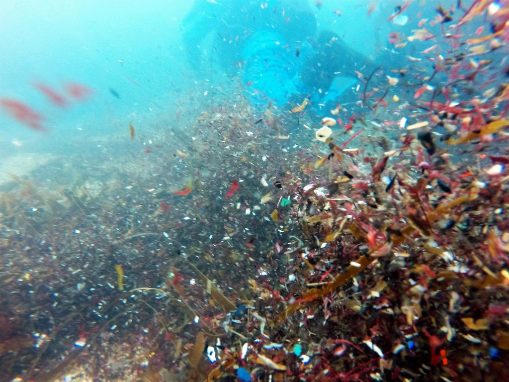 L'invasione delle microplastiche sta alternado profondamente gli ecosistemi marini