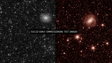 Composizione che mostra le prime immagini scattate dal telescopio spaziale Euclid. A destra con lo strumento VIS, a sinistra con lo strumento NISP. Le immagini mostrano migliaia di galassie lontane e debolissime.