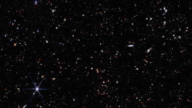 Migliaia di galassie fotografate dal James Webb Space Telescope nell'infrarosso
