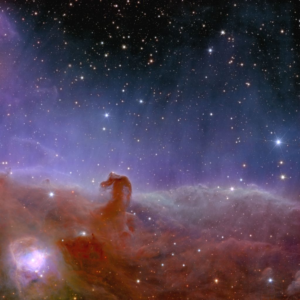 Fotografia della nebulosa "Testa di Cavallo" realizzata da Euclid