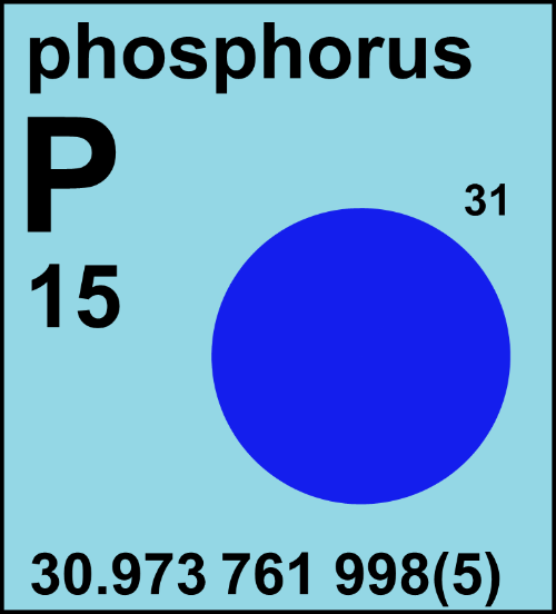 In natura si trova un solo isotopo del fosforo l'unico stabile su lunghi periodi