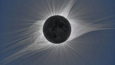 Una fotografia dell'eclissi totale del 21 agosto del 2017 che mostra la corona solare e la sua complessità.