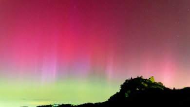 Aurora da Canossa (RE) - Crediti: Alberto Vezzani