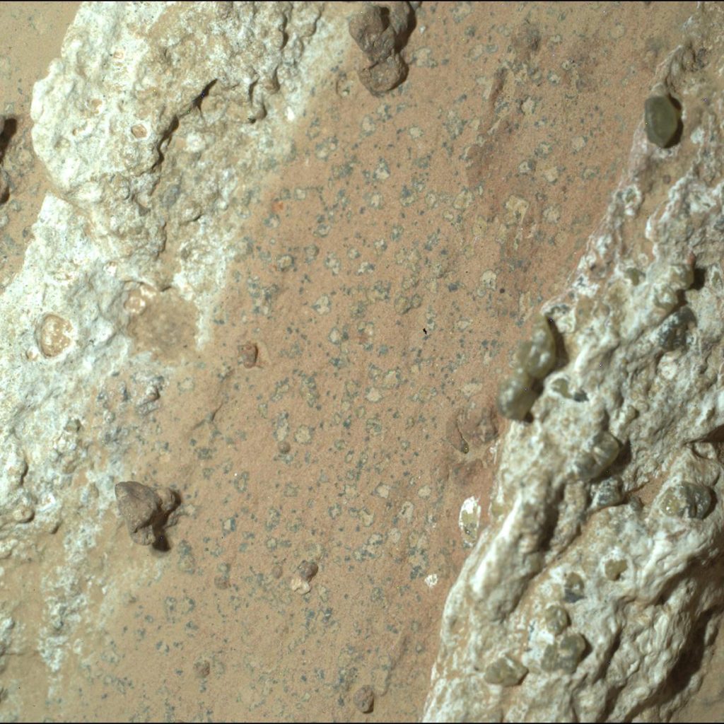 Microfotografia della roccia Chevaya Falls che mostra una banda arancione tra due biancastre. All'interno della banda arancione ci sono tanti noduli circolari biancastri circondati da un sottile alone nero.