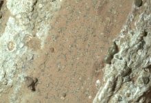 Microfotografia della roccia Chevaya Falls che mostra una banda arancione tra due biancastre. All'interno della banda arancione ci sono tanti noduli circolari biancastri circondati da un sottile alone nero.