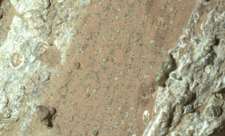 Microfotografia della roccia Chevaya Falls che mostra una banda arancione tra due biancastre. All'interno della banda arancione ci sono tanti noduli circolari biancastri circondati da un sottile alone nero.